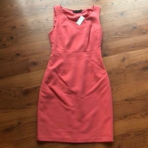 The Limited Sheath Dress NWT